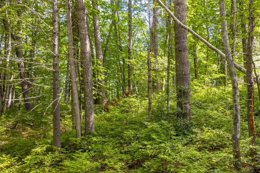 Lot 4 Laurel Drive Sapphire NC 28774