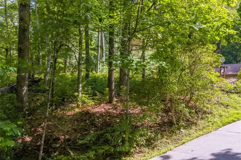 Lot 4 Laurel Drive Sapphire NC 28774