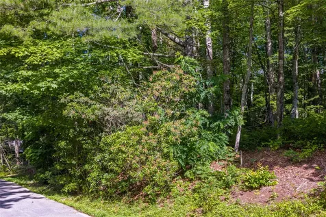 Lot 4 Laurel Drive Sapphire NC 28774
