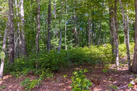 Lot 4 Laurel Drive Sapphire NC 28774