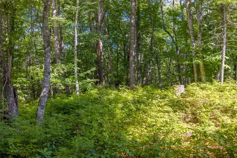 Lot 4 Laurel Drive Sapphire NC 28774