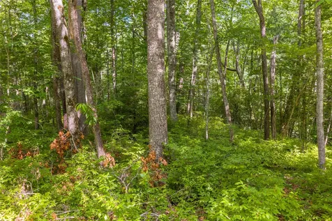 Lot 4 Laurel Drive Sapphire NC 28774