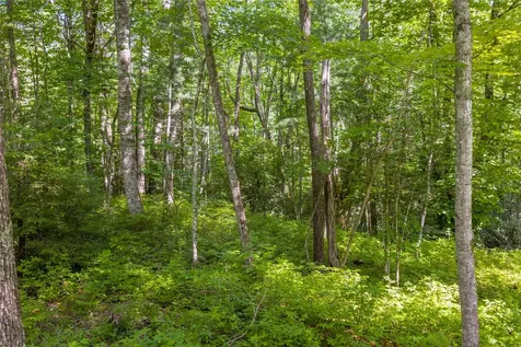 Lot 4 Laurel Drive Sapphire NC 28774