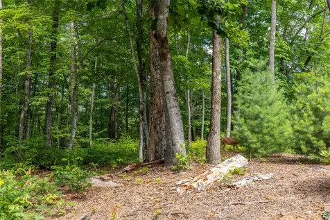 Lot 4 Laurel Drive Sapphire NC 28774