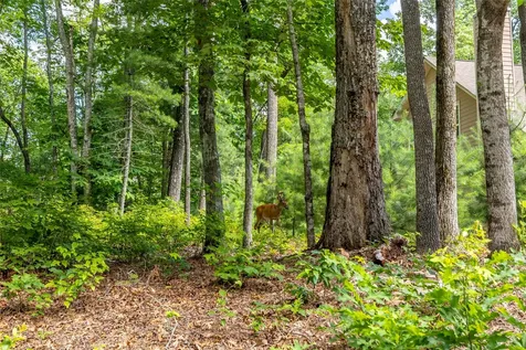 Lot 4 Laurel Drive Sapphire NC 28774