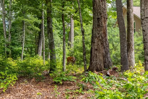 Lot 4 Laurel Drive Sapphire NC 28774