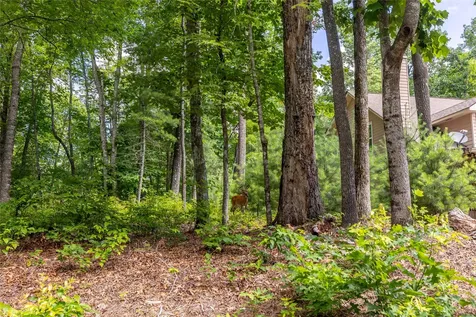 Lot 4 Laurel Drive Sapphire NC 28774