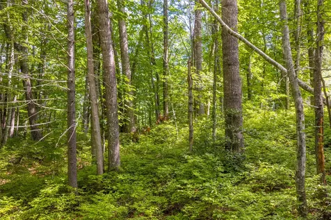 Lot 4 Laurel Drive Sapphire NC 28774