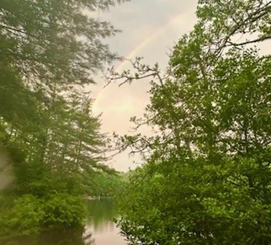 135 Whisper Lake Drive Sapphire NC 28774