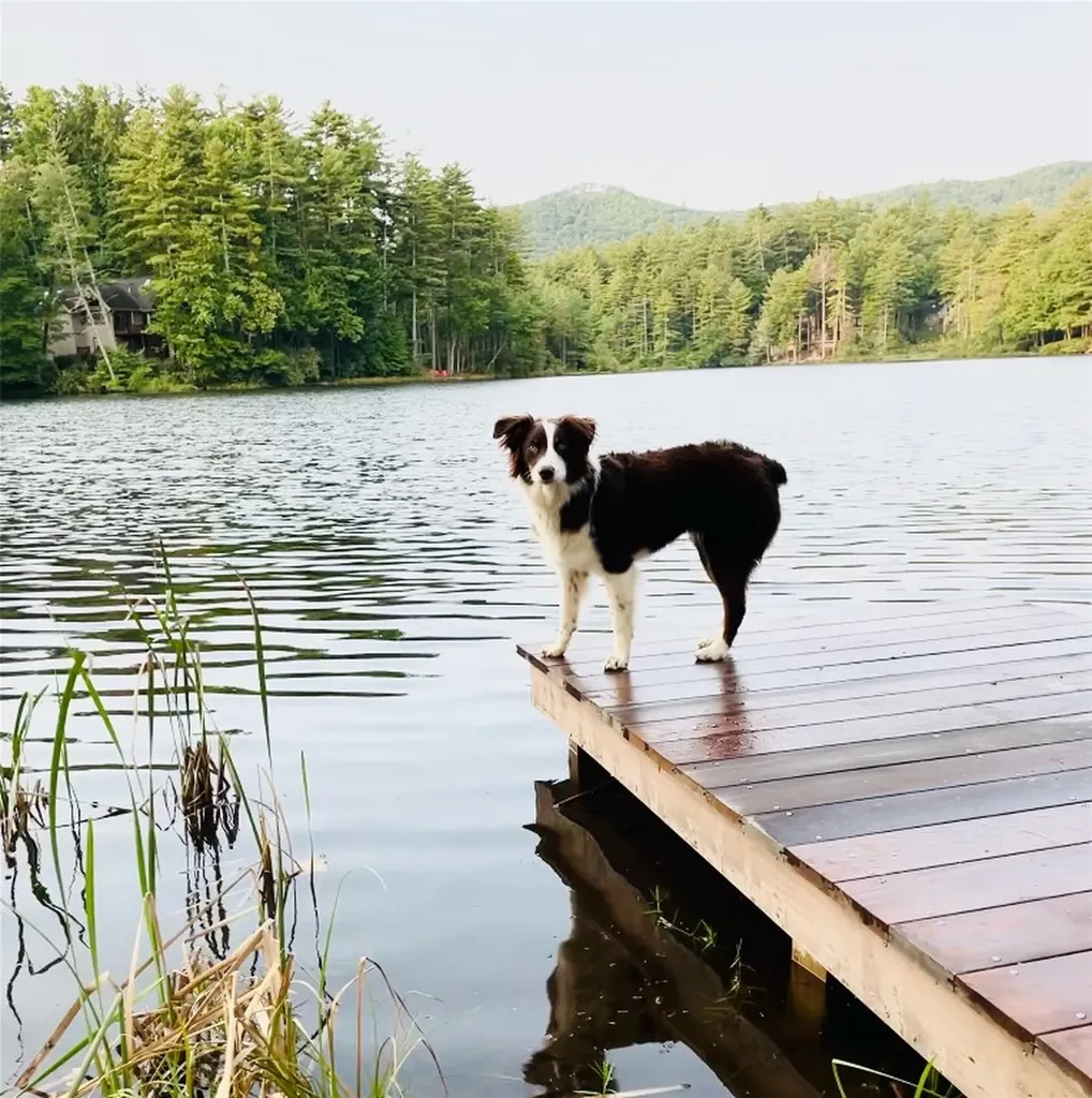 135 Whisper Lake Drive Sapphire NC 28774