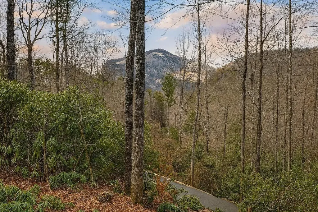 Tbd Saratay Falls Drive Cashiers NC 28717