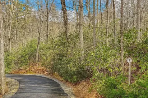 Tbd Saratay Falls Drive Cashiers NC 28717