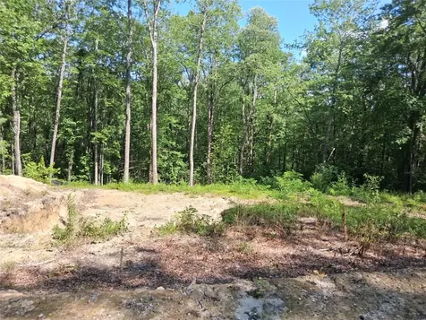 9 Lone Panther Ridge Cashiers NC 28717