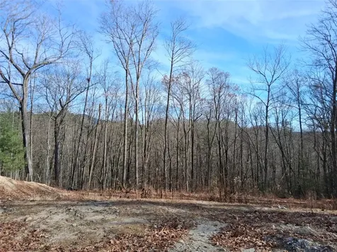 9 Lone Panther Ridge Cashiers NC 28717