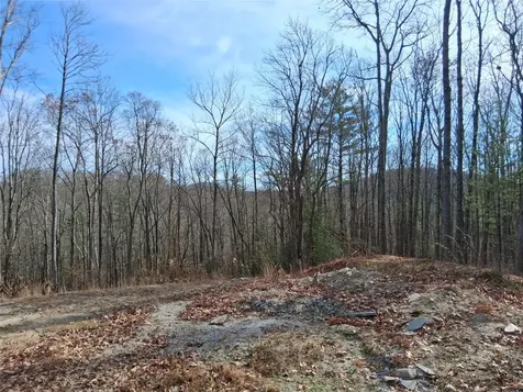 9 Lone Panther Ridge Cashiers NC 28717