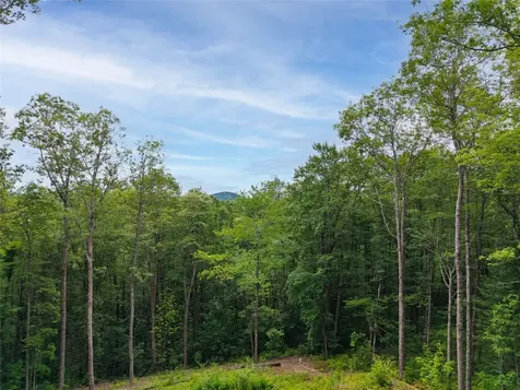 9 Lone Panther Ridge Cashiers NC 28717