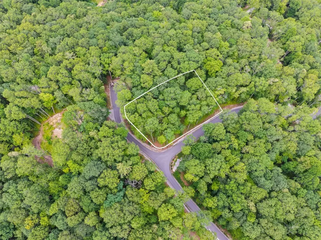 5 Lone Panther Ridge Cashiers NC 28717