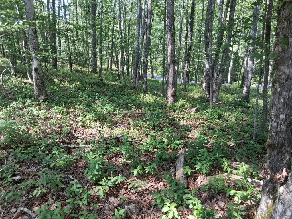 5 Lone Panther Ridge Cashiers NC 28717