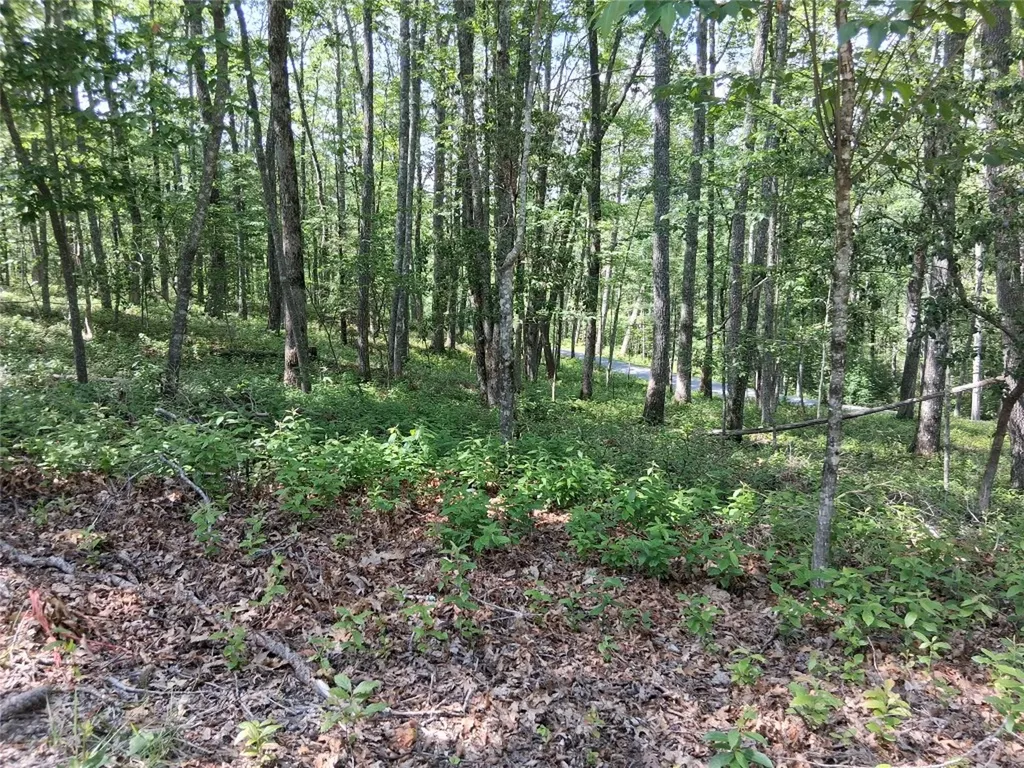 5 Lone Panther Ridge Cashiers NC 28717