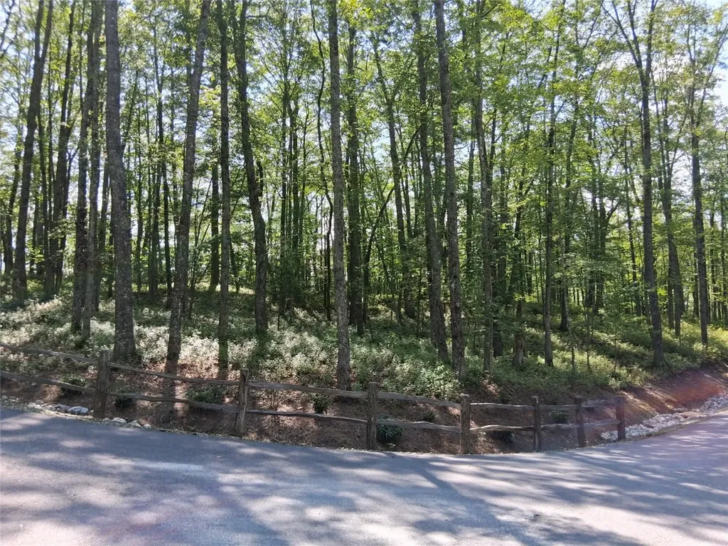 5 Lone Panther Ridge Cashiers NC 28717