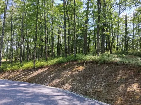 5 Lone Panther Ridge Cashiers NC 28717