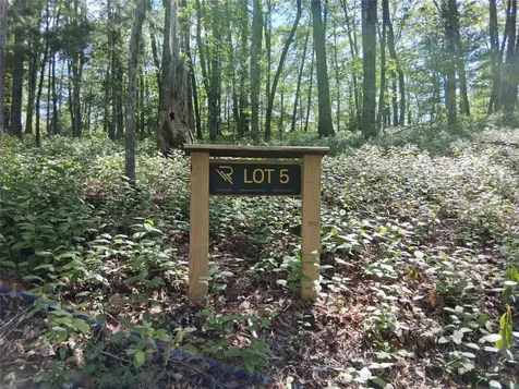 5 Lone Panther Ridge Cashiers NC 28717