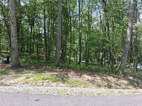 5 Lone Panther Ridge Cashiers NC 28717