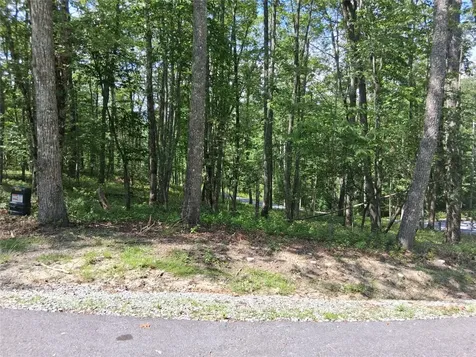 5 Lone Panther Ridge Cashiers NC 28717