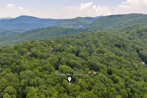 161 Kestrel Court Sapphire NC 28774