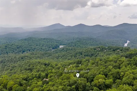 161 Kestrel Court Sapphire NC 28774