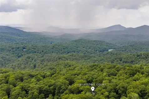 161 Kestrel Court Sapphire NC 28774
