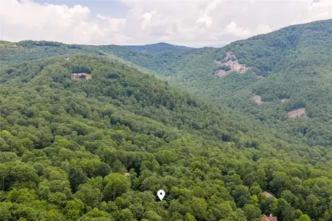 161 Kestrel Court Sapphire NC 28774