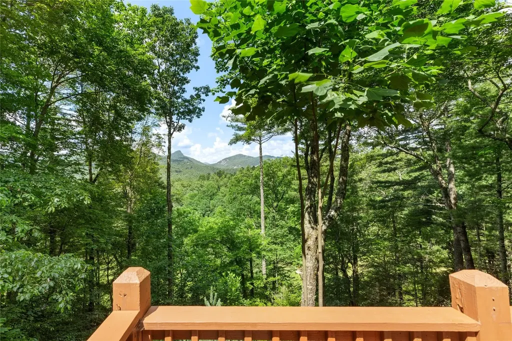 576 Blackberry Trail Sapphire NC 28774