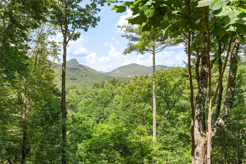 576 Blackberry Trail Sapphire NC 28774