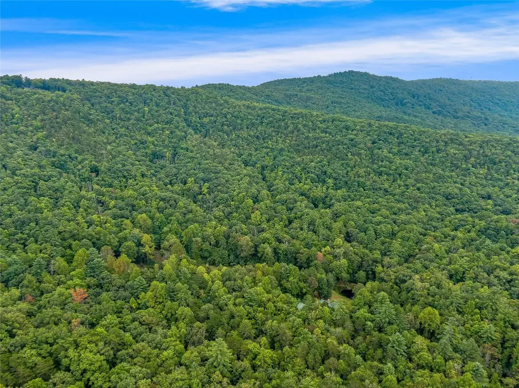 388 Hard To Find Drive Brevard NC 28712