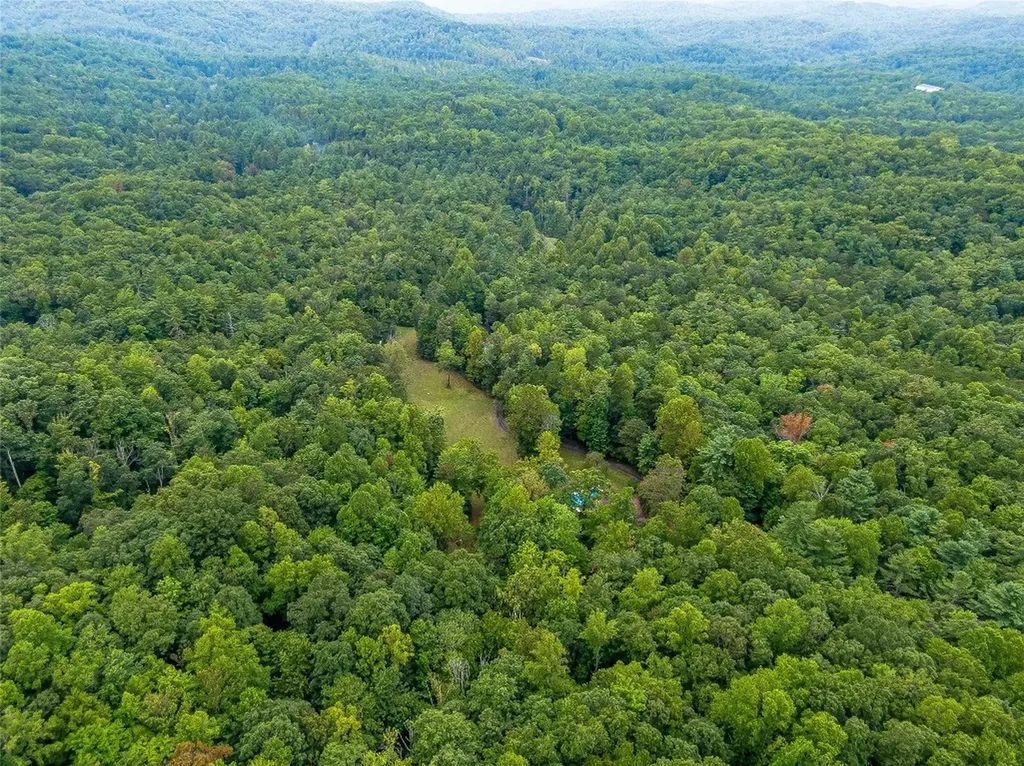 388 Hard To Find Drive Brevard NC 28712