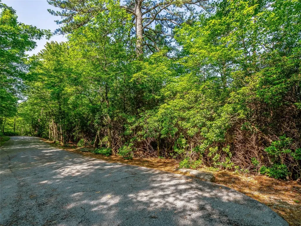 Tbd Quartz Mine Road Lake Toxaway NC 28747