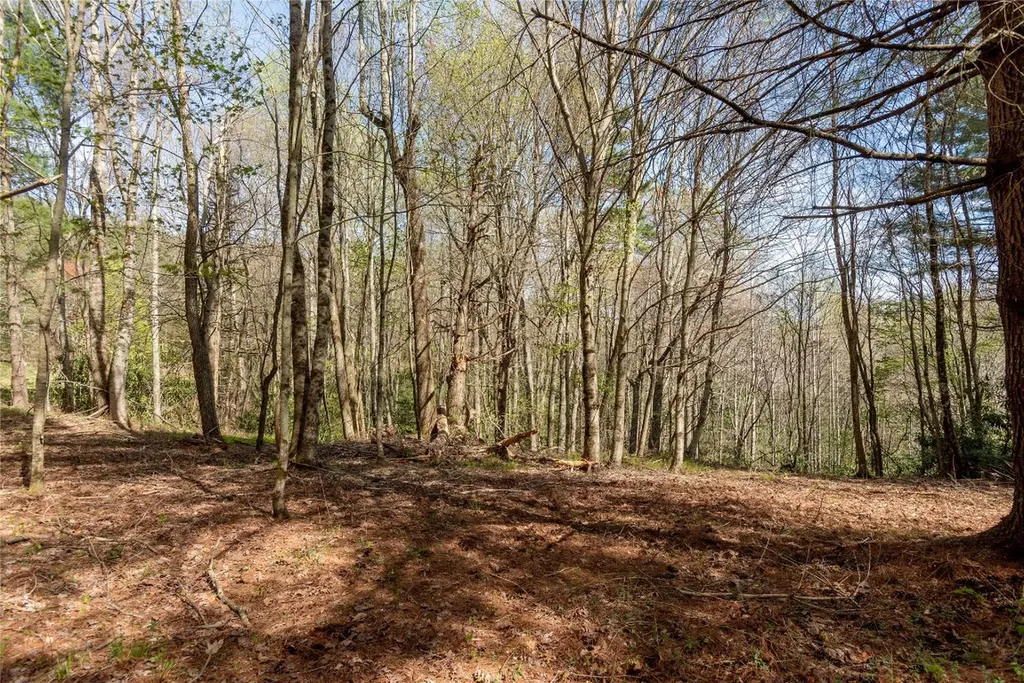 Lot 4 Trillium Ridge Road Cullowhee NC 28723