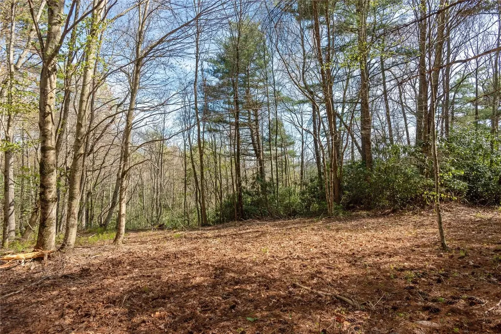 Lot 4 Trillium Ridge Road Cullowhee NC 28723