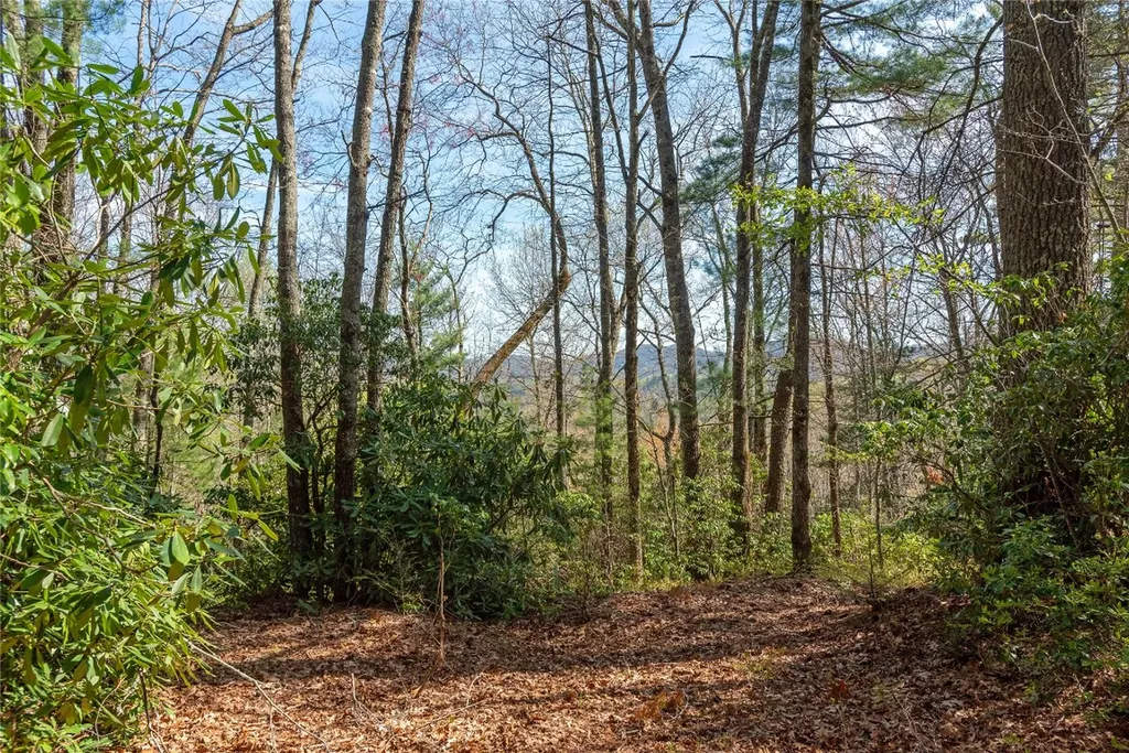 Lot 4 Trillium Ridge Road Cullowhee NC 28723