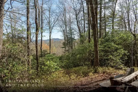 Lot 4 Trillium Ridge Road Cullowhee NC 28723