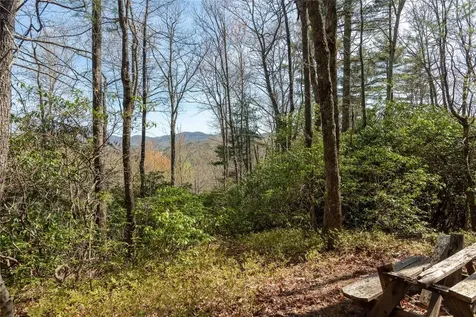 Lot 4 Trillium Ridge Road Cullowhee NC 28723
