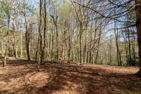 Lot 4 Trillium Ridge Road Cullowhee NC 28723