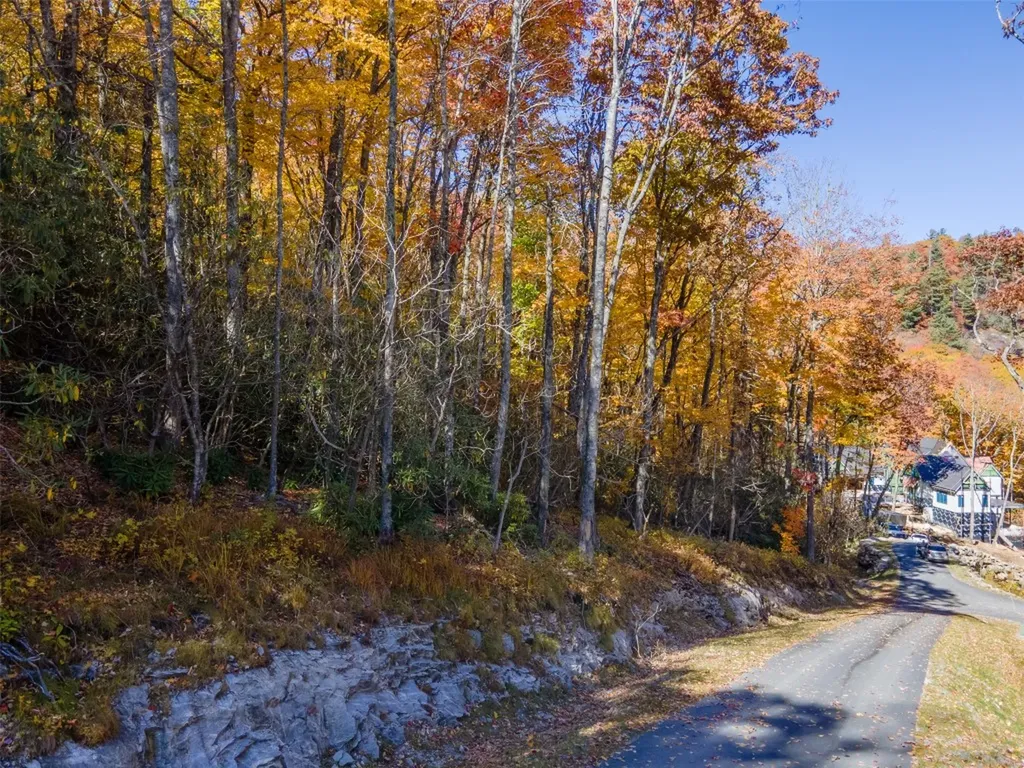 Lot 2 Glencove Drive Cashiers NC 28717