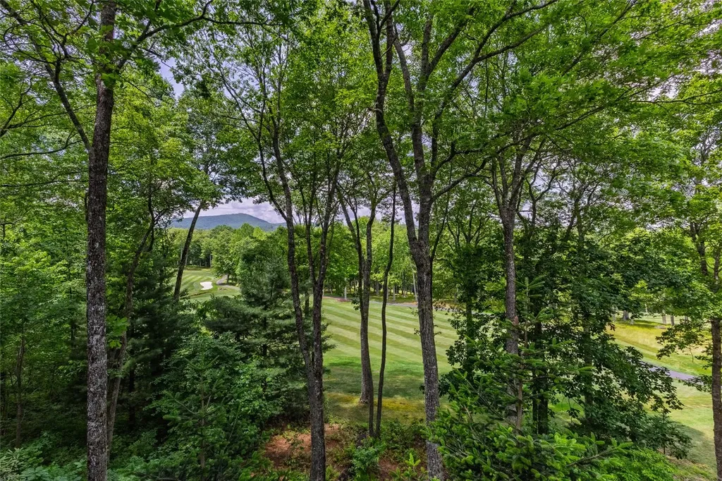 8 Par Path Cashiers NC 28717