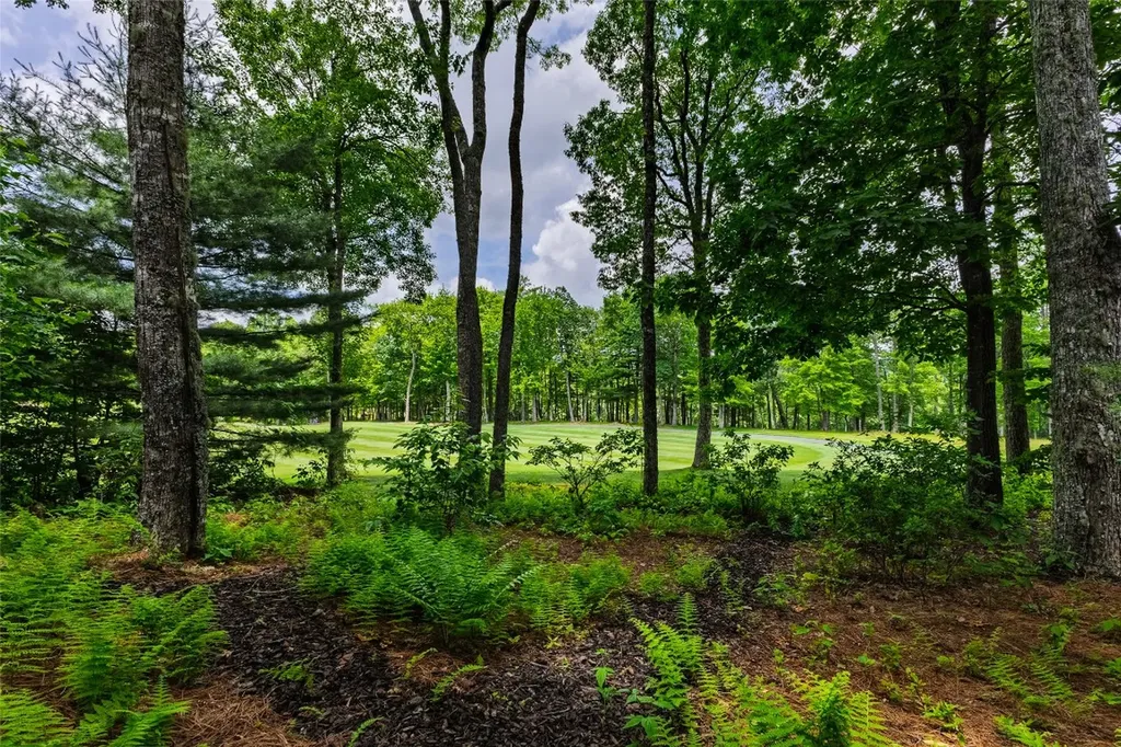 8 Par Path Cashiers NC 28717