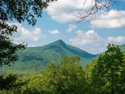 735 Trays Island Road Sapphire NC 28774