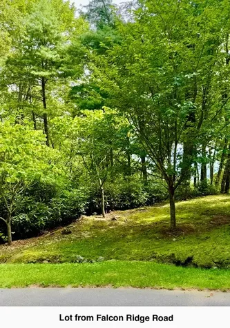 0 Falcon Ridge Highlands NC 28741