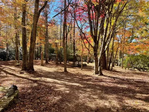 546 Upsy Daisy Lane Cullowhee NC 28723