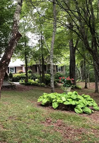 546 Upsy Daisy Lane Cullowhee NC 28723